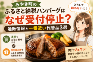 ふるさと納税　みやき町　ハンバーグ